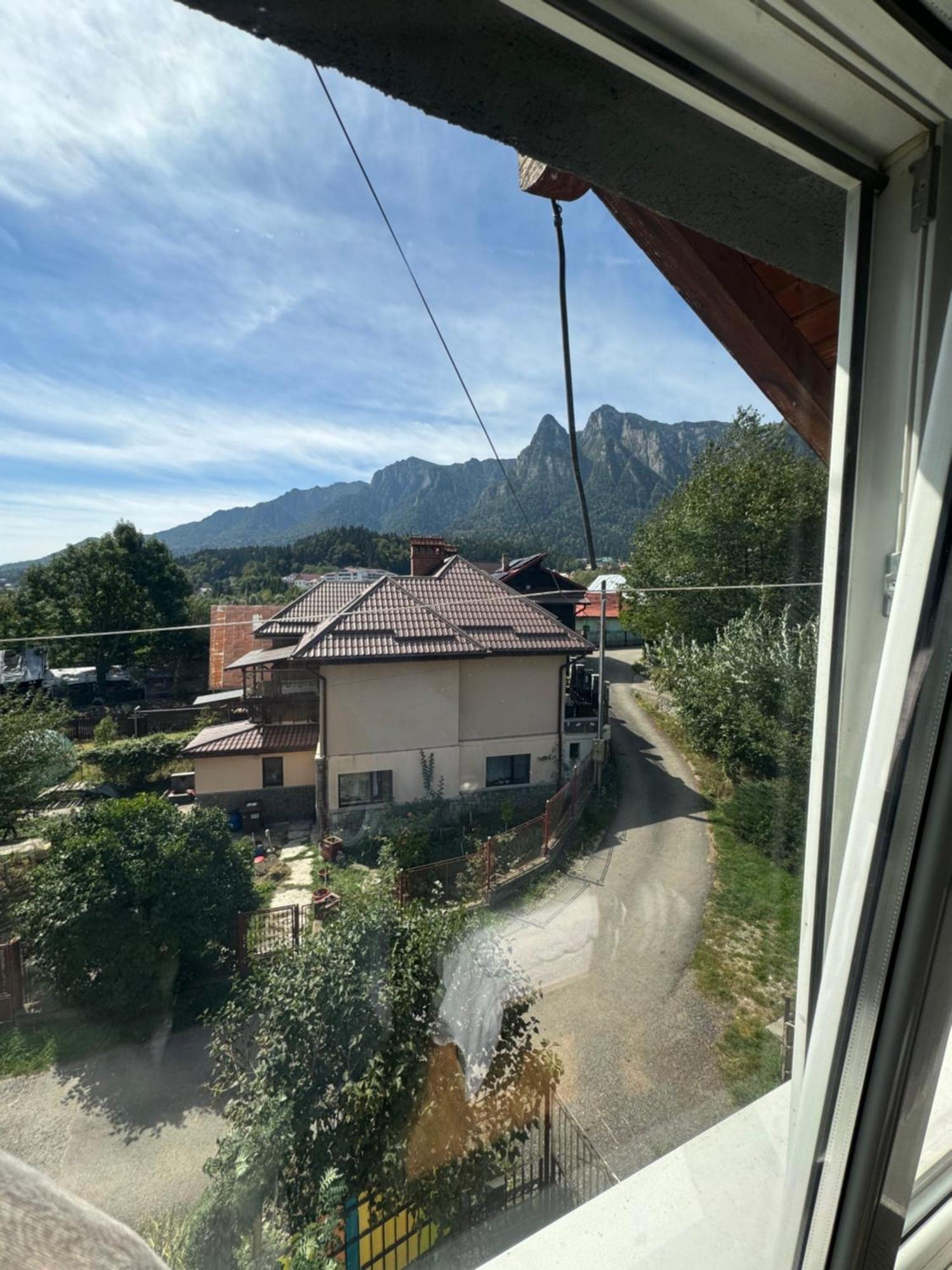 Buşteni Casa David酒店 外观 照片