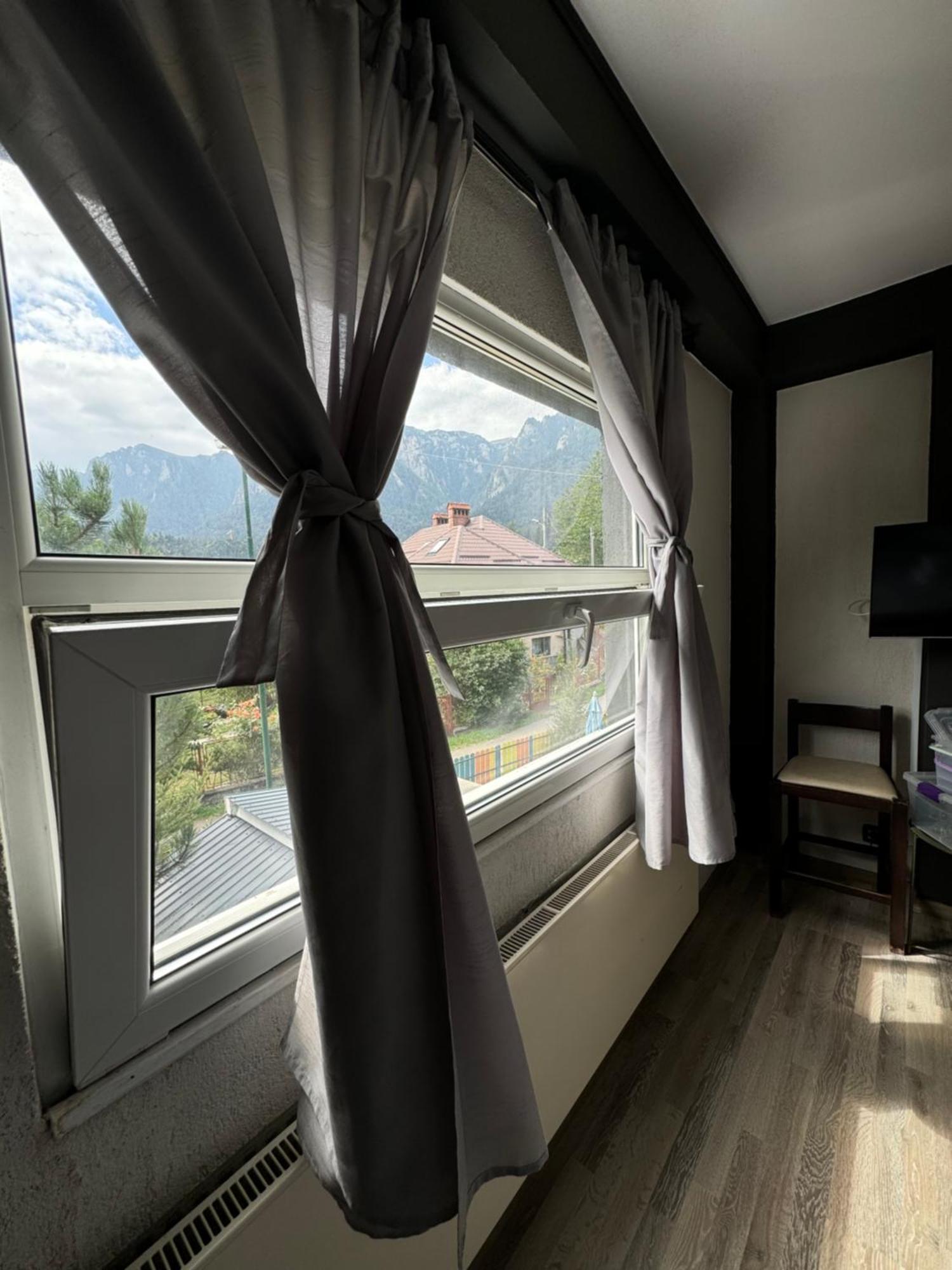 Buşteni Casa David酒店 外观 照片