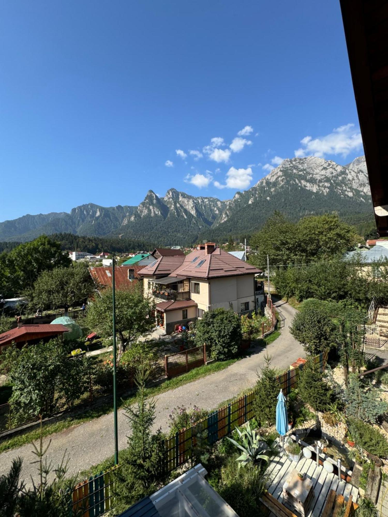 Buşteni Casa David酒店 外观 照片