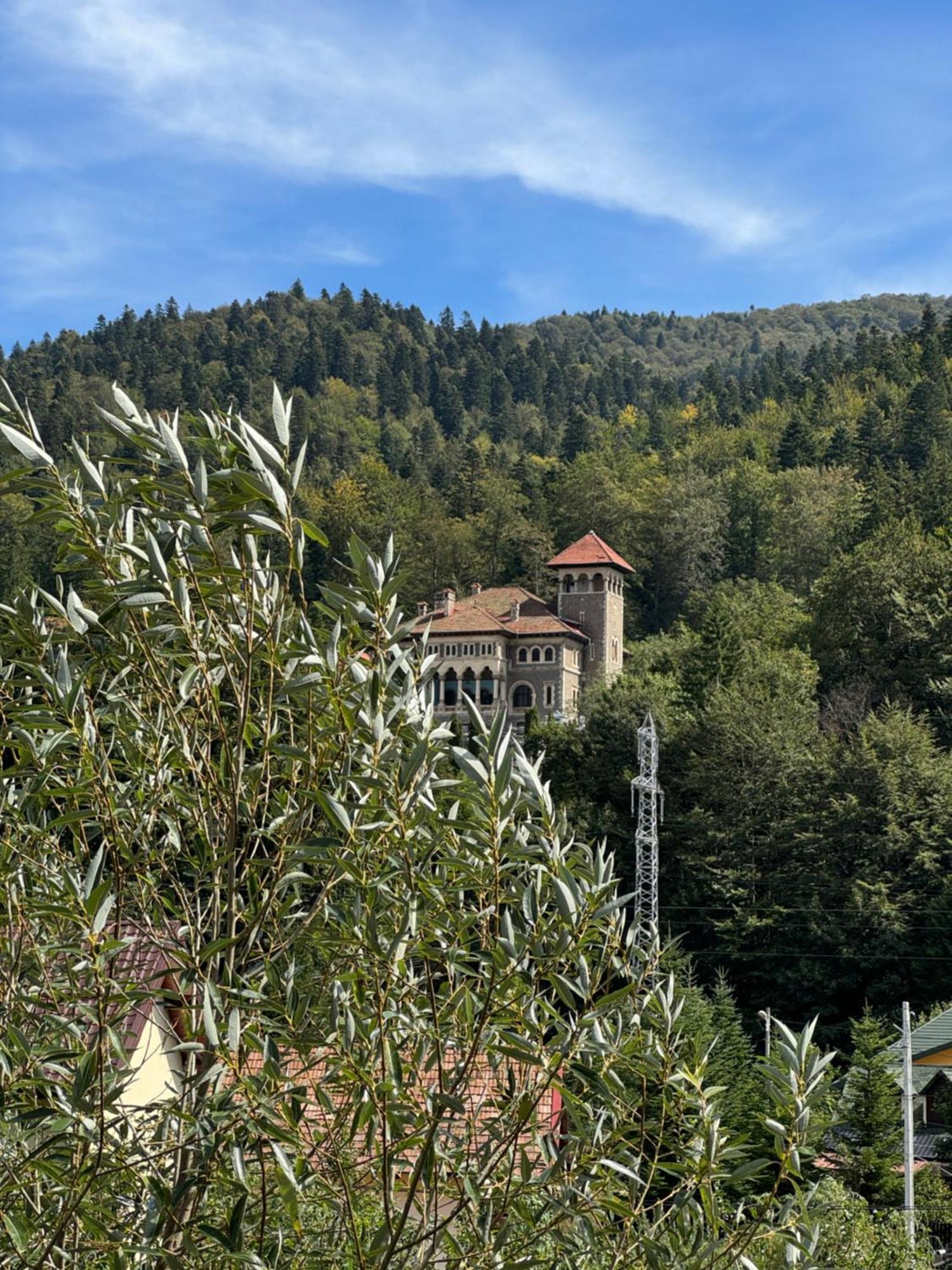Buşteni Casa David酒店 外观 照片