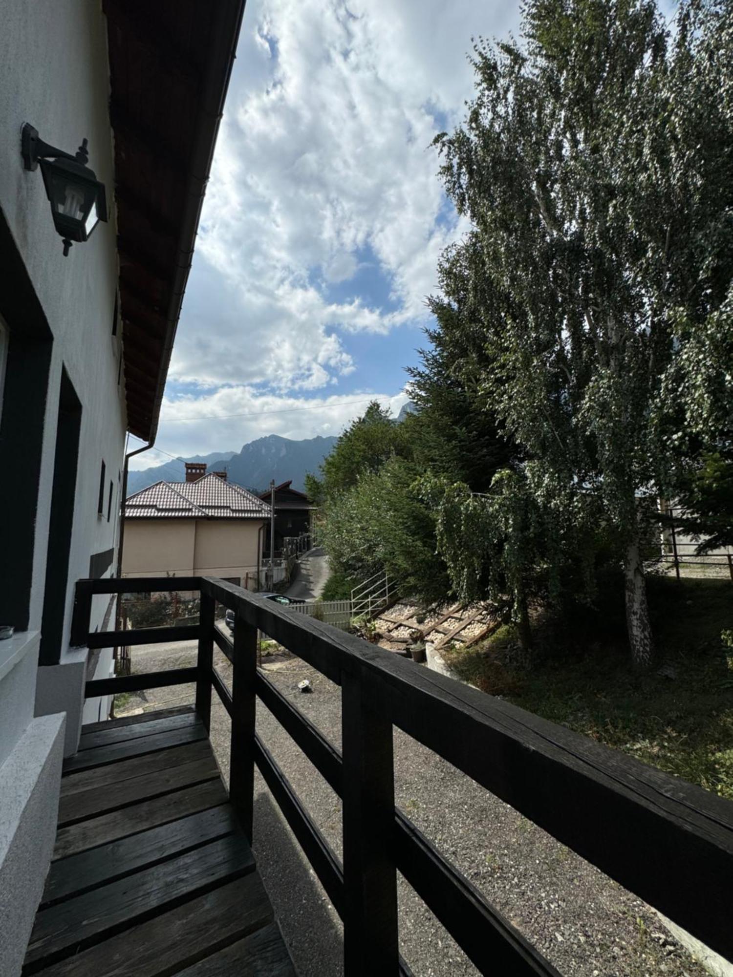 Buşteni Casa David酒店 外观 照片
