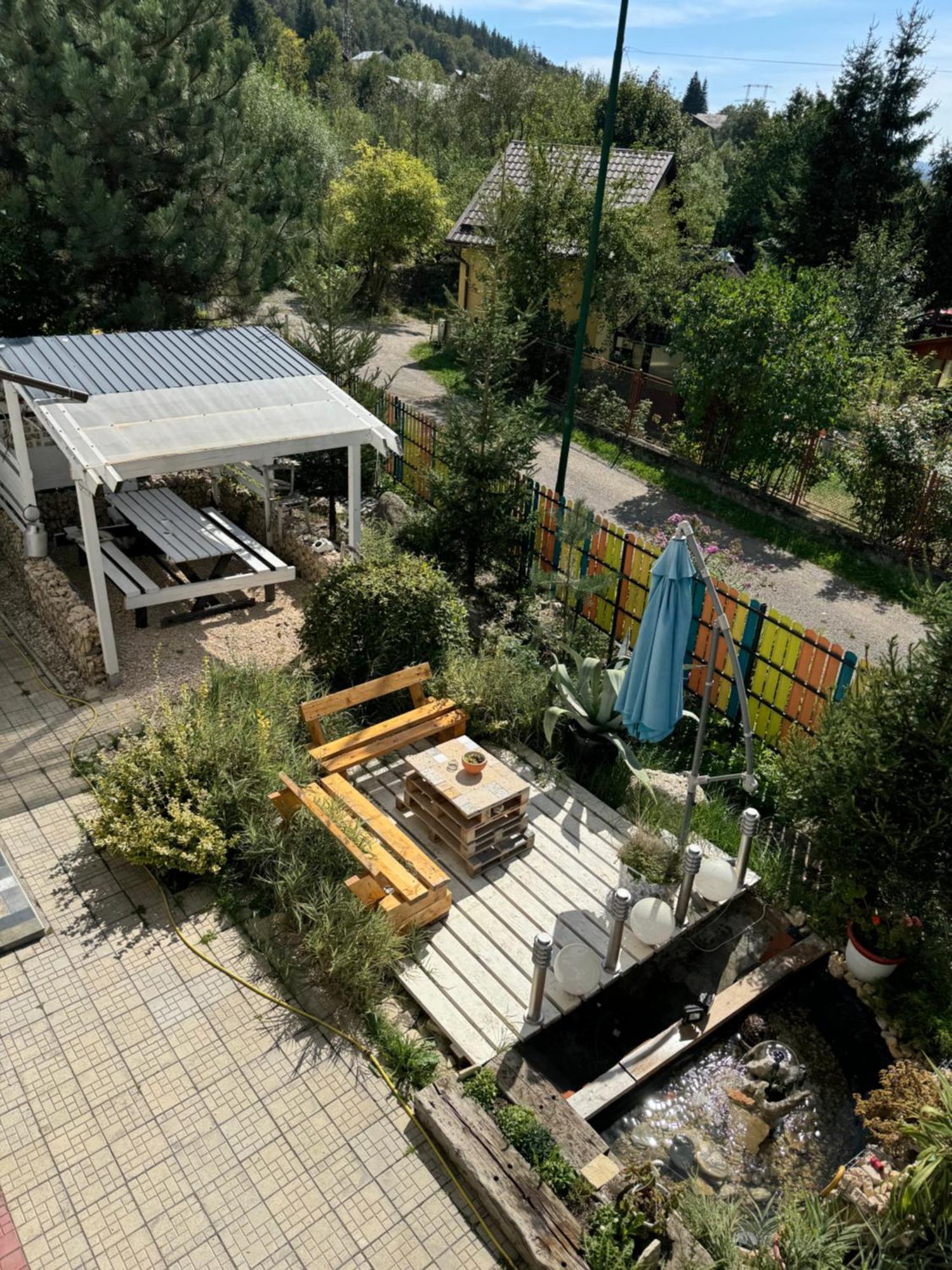 Buşteni Casa David酒店 外观 照片