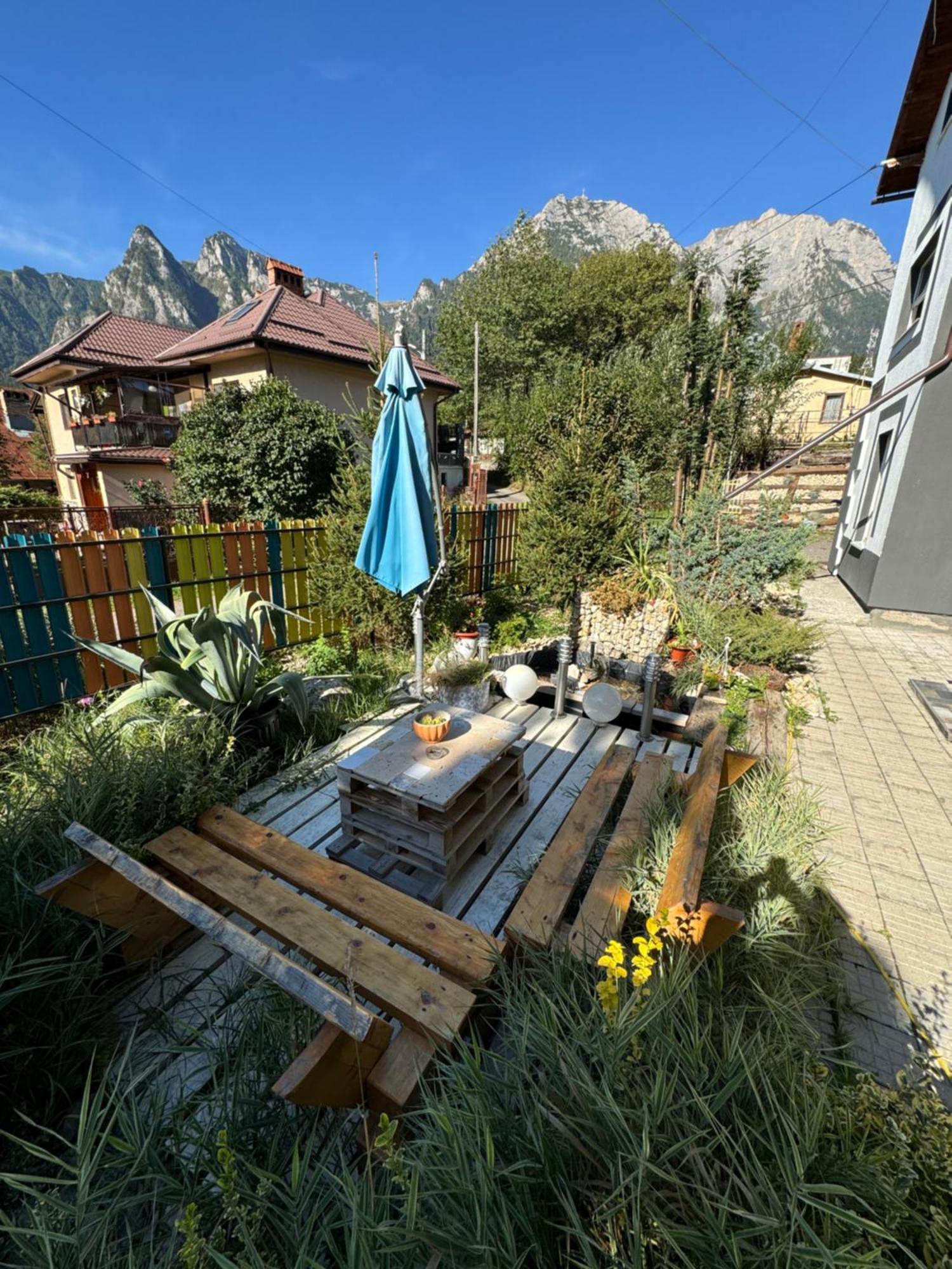 Buşteni Casa David酒店 外观 照片
